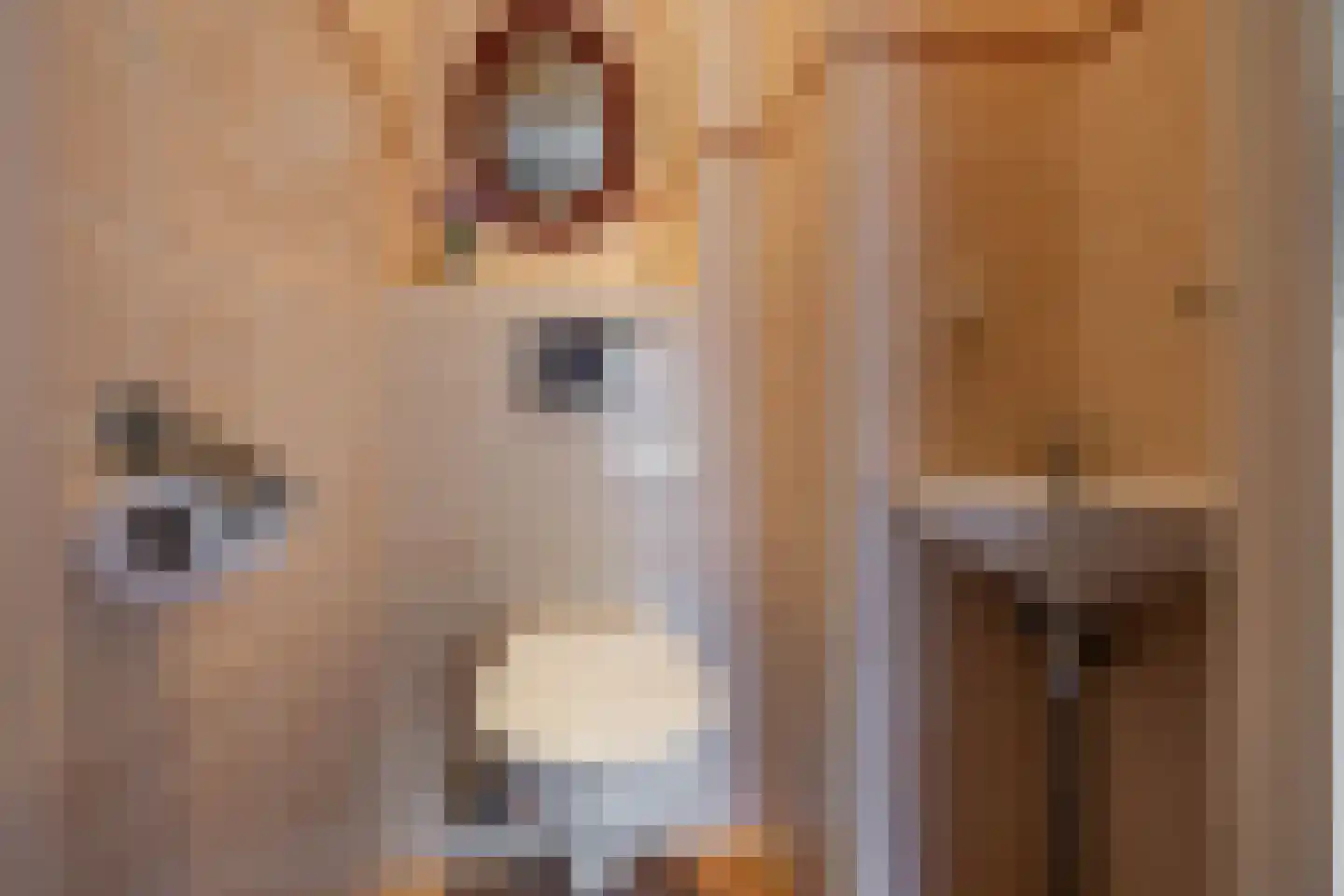 Lichtboei 123 Groningen thumbnail 13