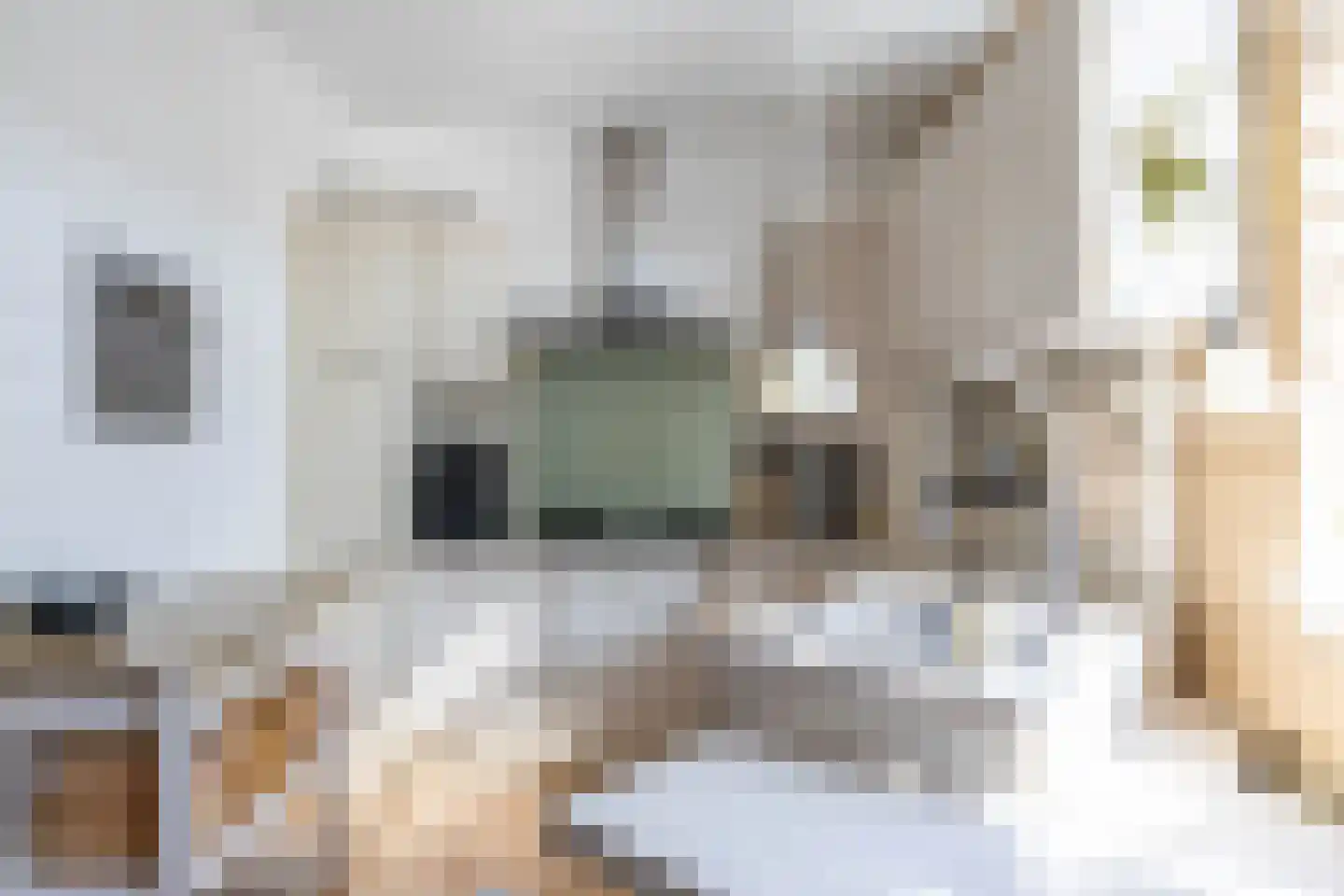 Lichtboei 123 Groningen thumbnail 25