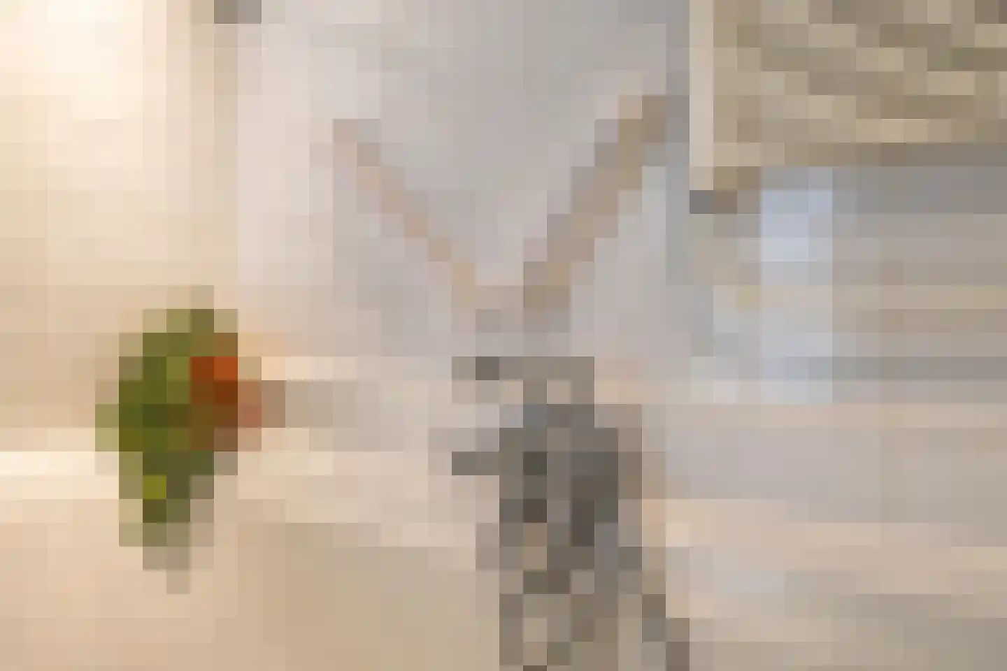 Lichtboei 123 Groningen thumbnail 36