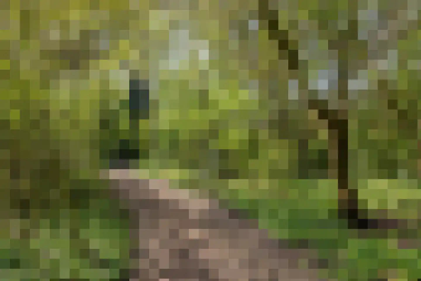 Lichtboei 123 Groningen thumbnail 4
