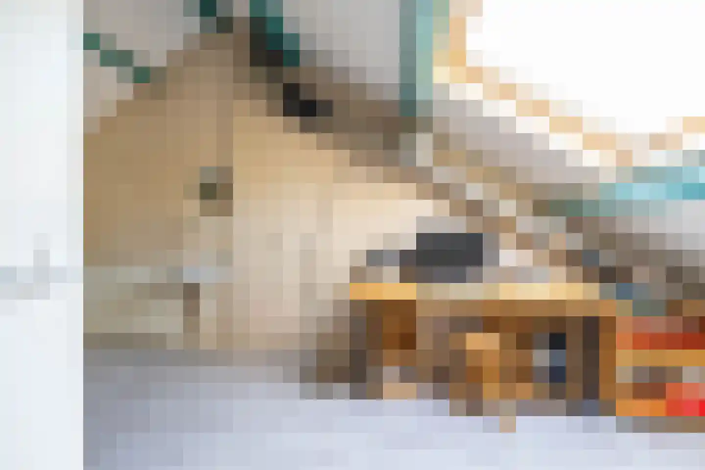Lichtboei 123 Groningen thumbnail 41