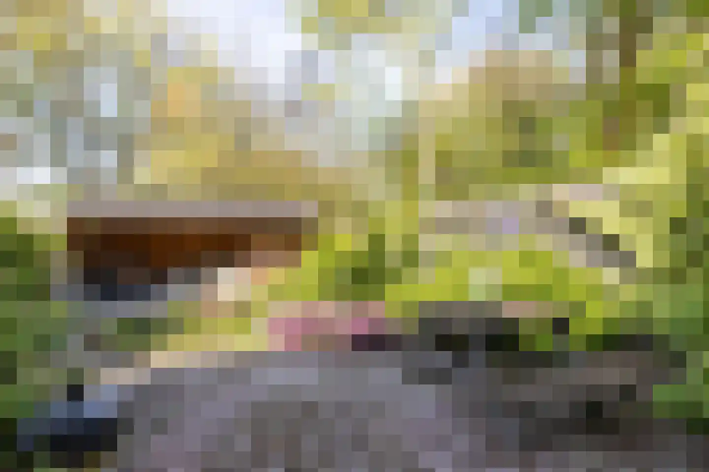 Lichtboei 123 Groningen thumbnail 44