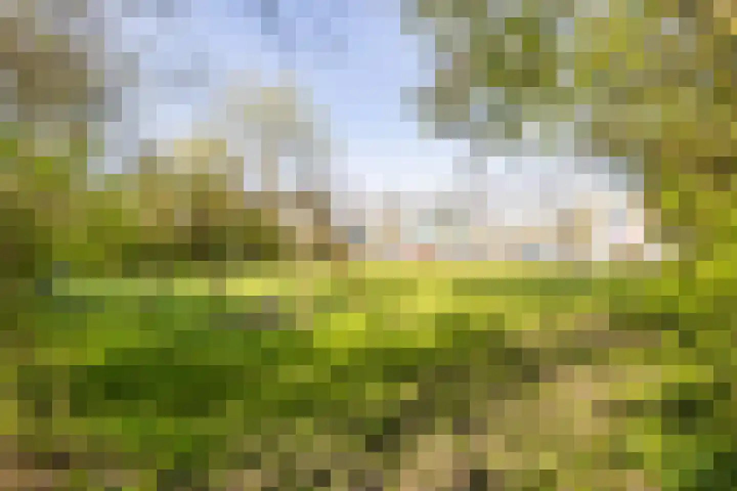 Lichtboei 123 Groningen thumbnail 53