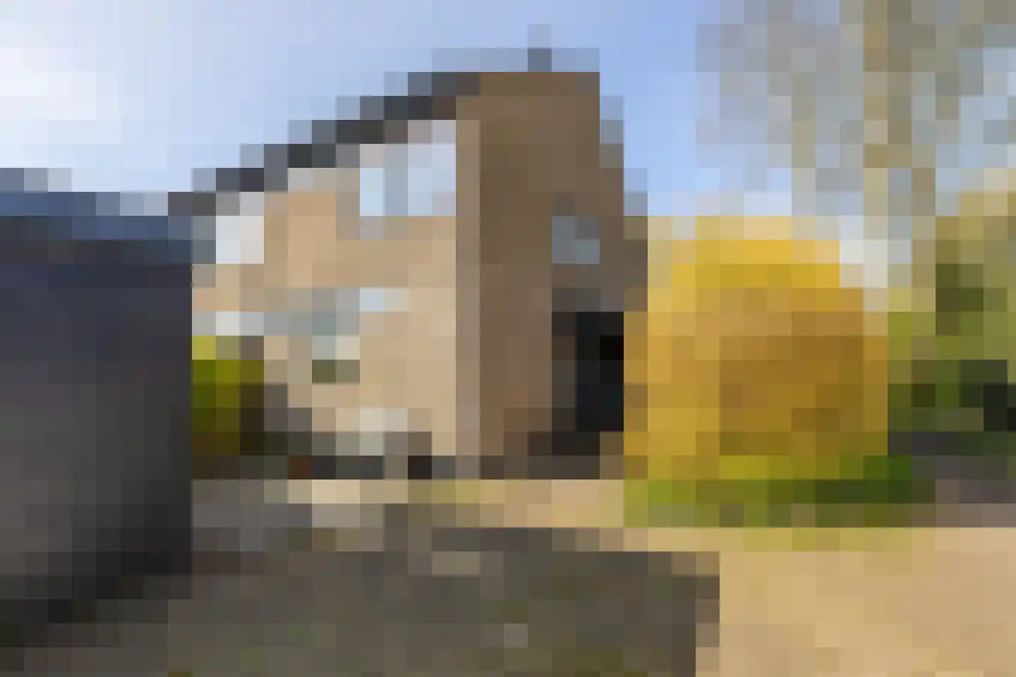 Lichtboei 123 Groningen thumbnail 6