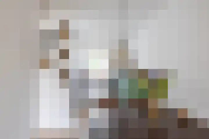 Lichtboei 148 Groningen thumbnail 13