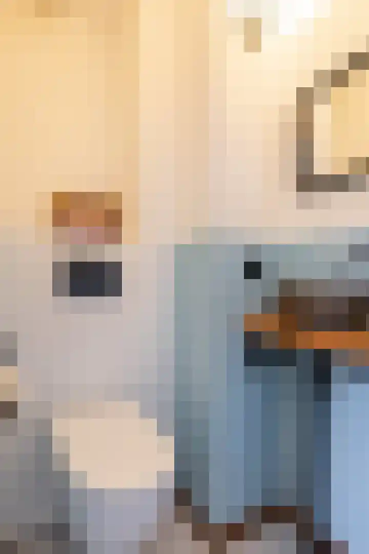 Lichtboei 148 Groningen thumbnail 21