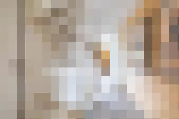 Lichtboei 148 Groningen thumbnail 23