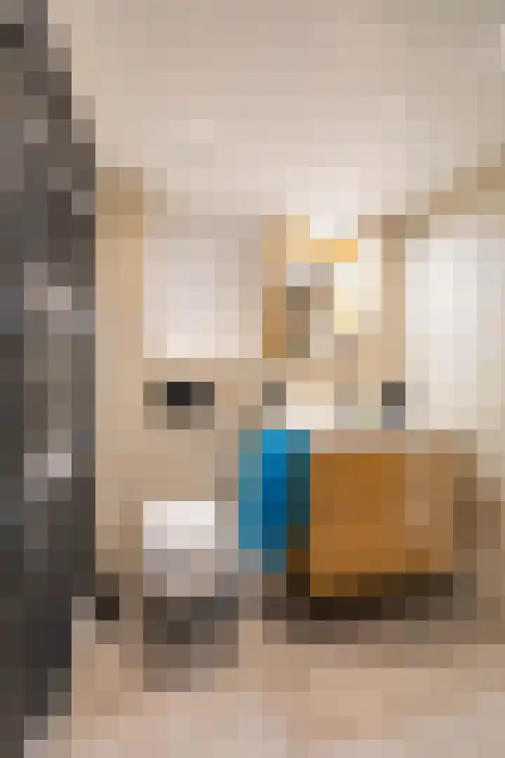 Lichtboei 148 Groningen thumbnail 33