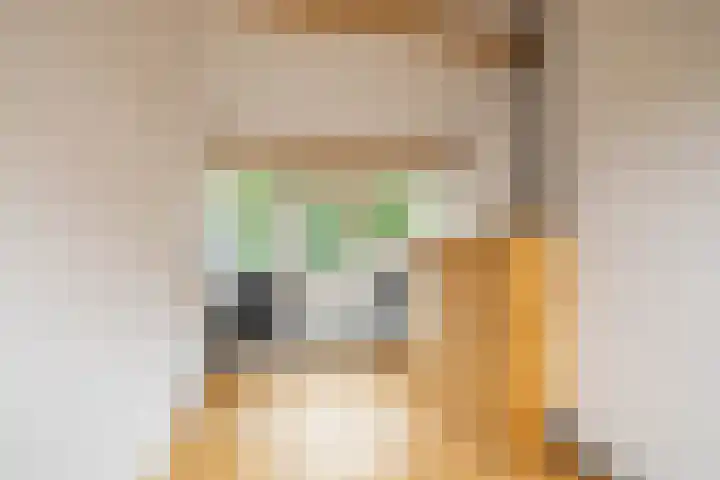 Lichtboei 148 Groningen thumbnail 38