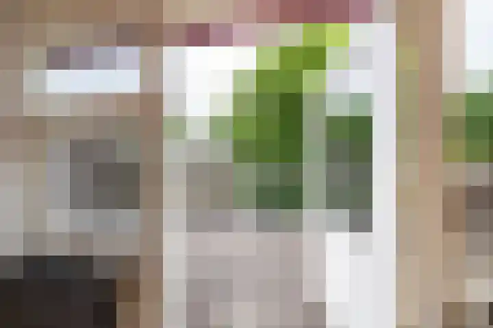 Lichtboei 148 Groningen thumbnail 39
