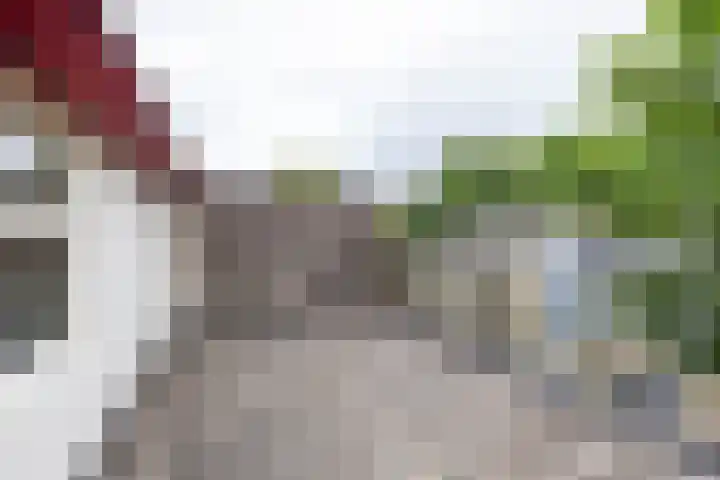 Lichtboei 148 Groningen thumbnail 41