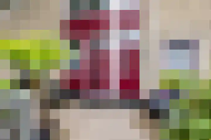 Lichtboei 148 Groningen thumbnail 43