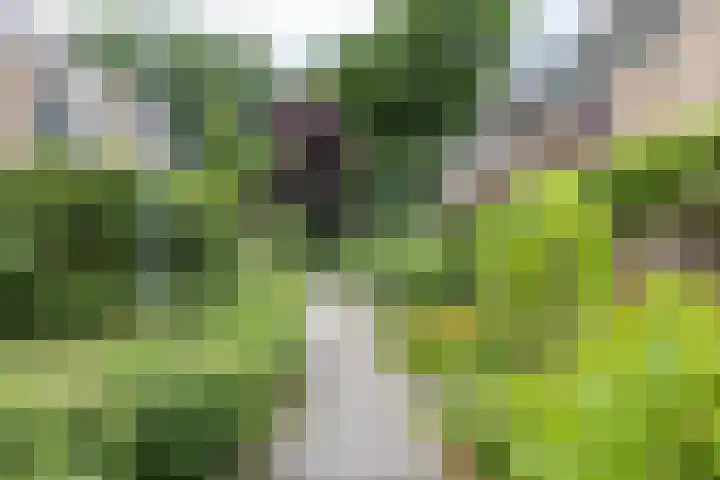 Lichtboei 148 Groningen thumbnail 44