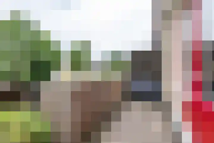 Lichtboei 148 Groningen thumbnail 8