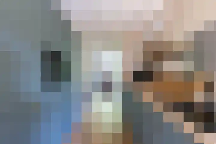 Lichtboei 176 Groningen thumbnail 13