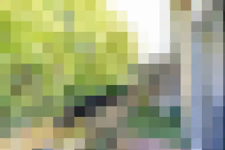 Lichtboei 176 Groningen thumbnail 17