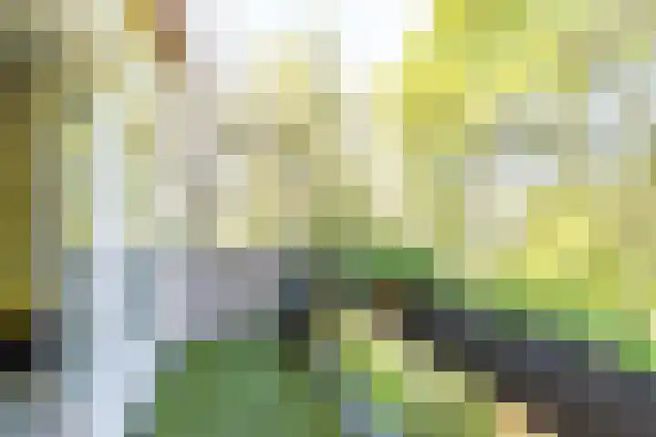 Lichtboei 176 Groningen thumbnail 18