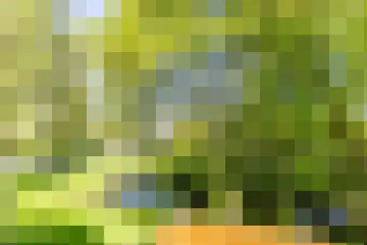 Lichtboei 176 Groningen thumbnail 19