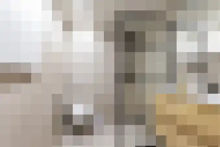 Lichtboei 176 Groningen thumbnail 30