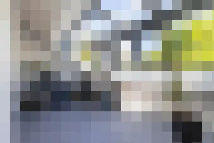 Lichtboei 176 Groningen thumbnail 34