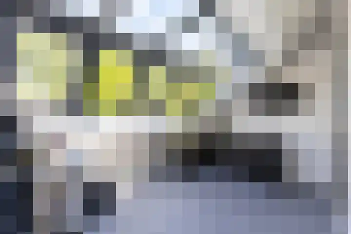 Lichtboei 176 Groningen thumbnail 39
