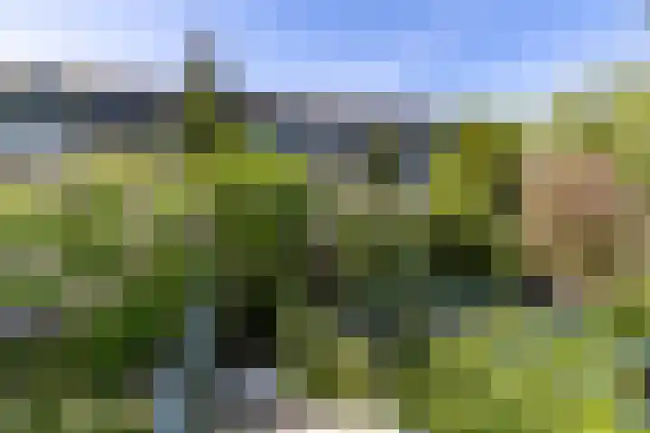 Lichtboei 176 Groningen thumbnail 41