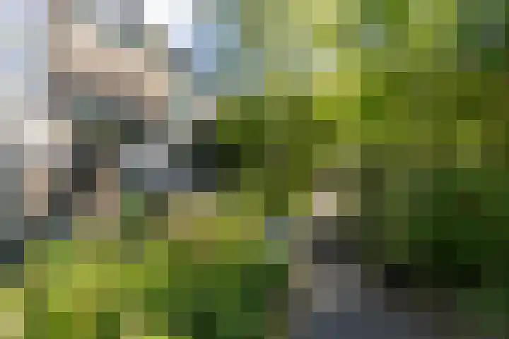 Lichtboei 176 Groningen thumbnail 7