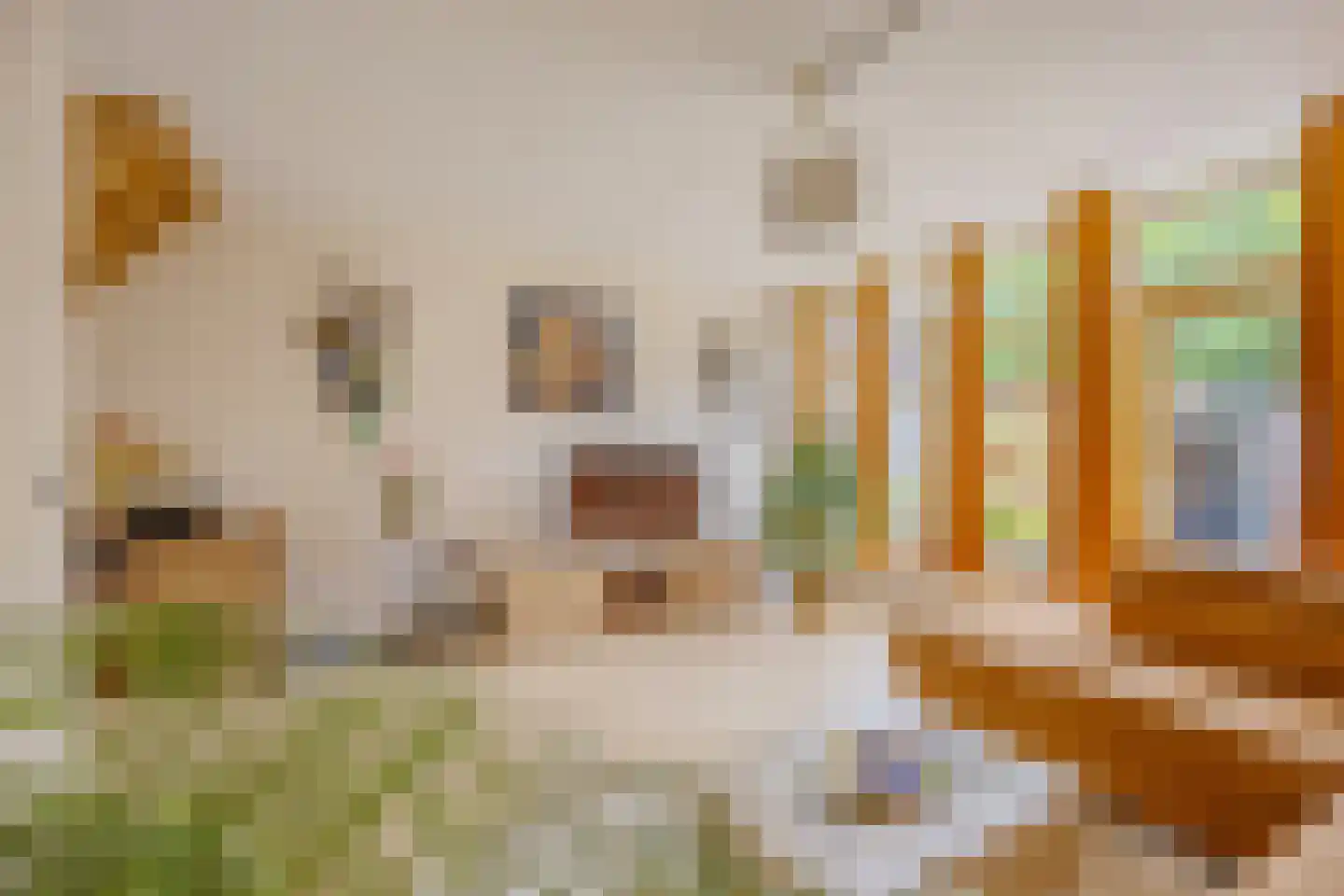 Lichtboei 198 Groningen thumbnail 18