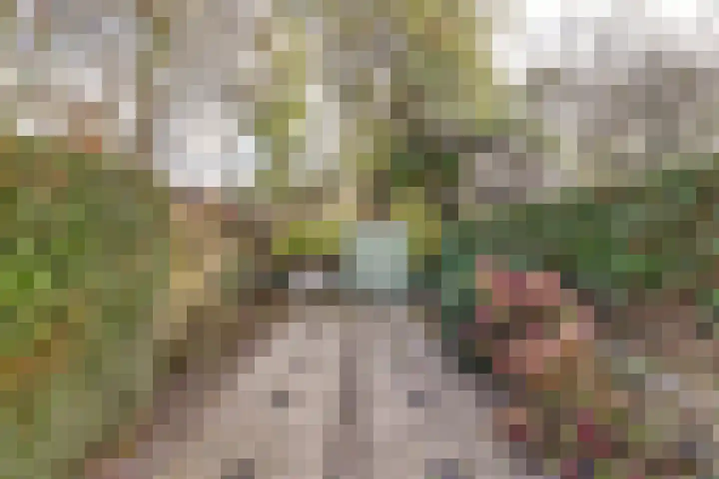 Lichtboei 2 Groningen thumbnail 29