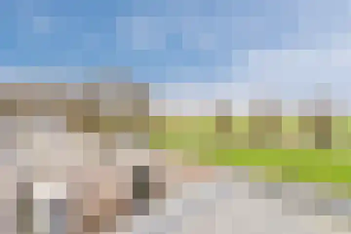 Lichtboei 30 Amstelveen thumbnail 42