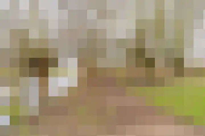Lichtboei 30 Amstelveen thumbnail 47