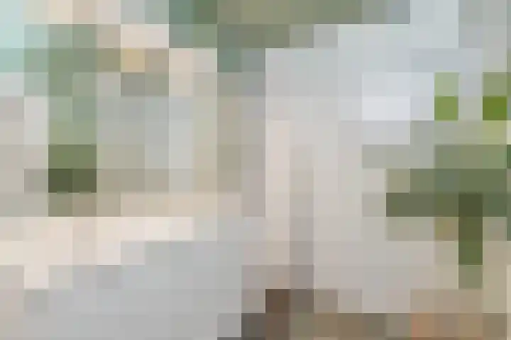 Lichtboei 34 Amstelveen thumbnail 25