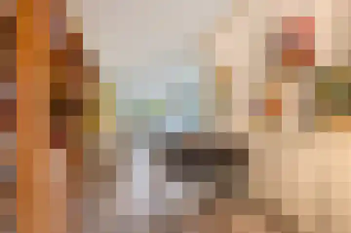 Lichtboei 34 Groningen thumbnail 22