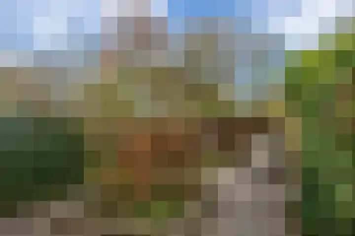 Lichtboei 34 Groningen thumbnail 37