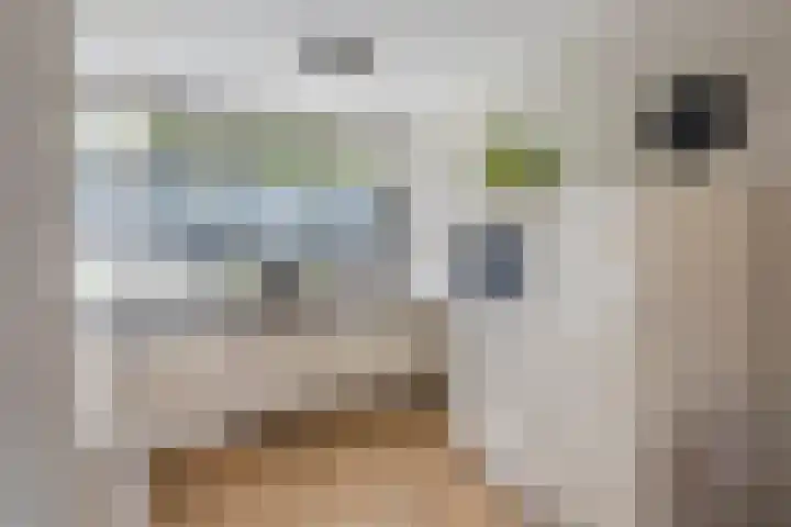 Lichtboei 44 Maassluis thumbnail 15