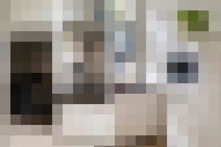Lichtboei 44 Maassluis thumbnail 20