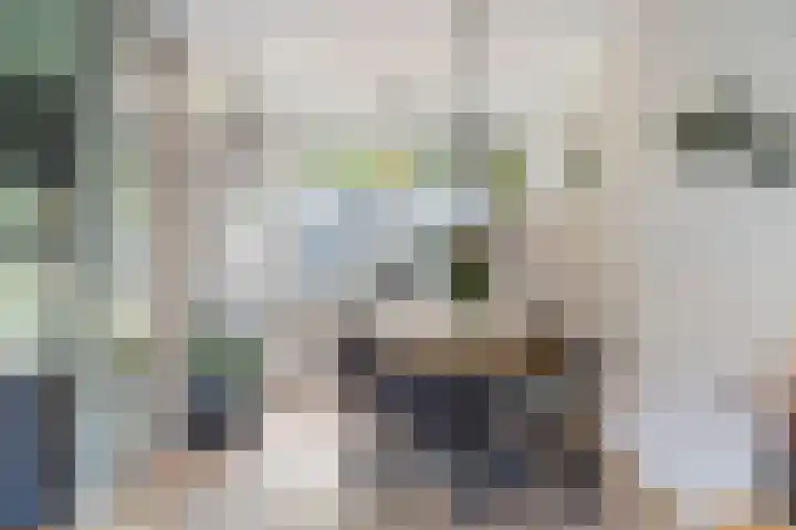 Lichtboei 44 Maassluis thumbnail 21