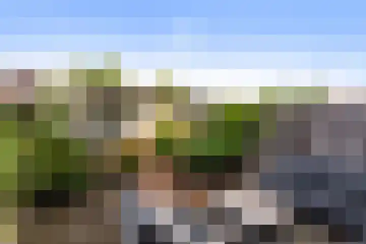 Lichtboei 44 Maassluis thumbnail 22