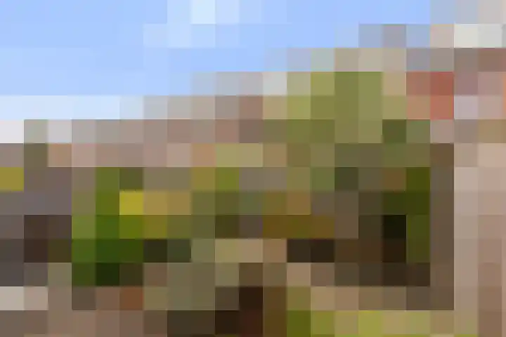 Lichtboei 44 Maassluis thumbnail 26