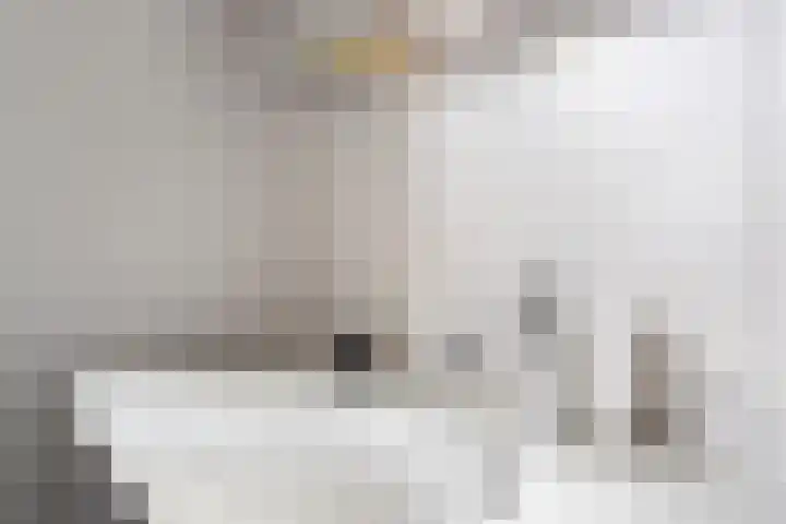 Lichtboei 44 Maassluis thumbnail 37