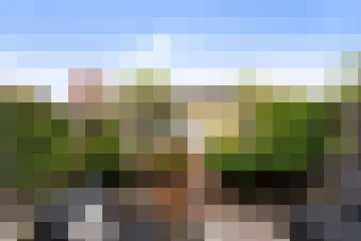Lichtboei 44 Maassluis thumbnail 4