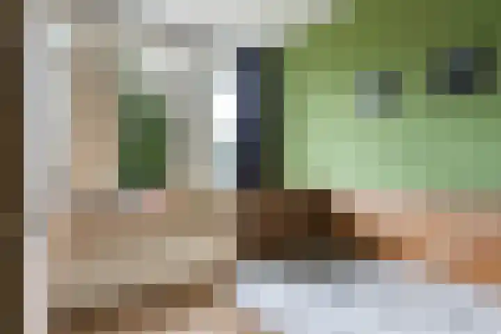 Lichtboei 44 Maassluis thumbnail 43