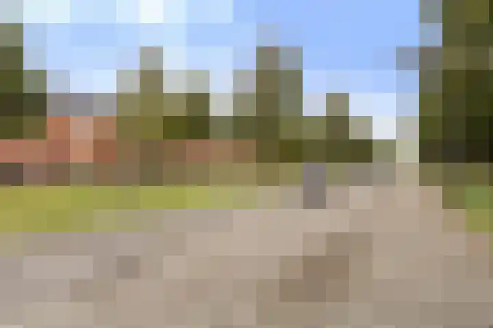 Lichtboei 44 Maassluis thumbnail 46