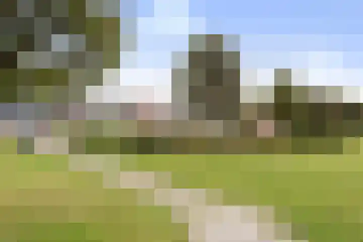 Lichtboei 44 Maassluis thumbnail 47