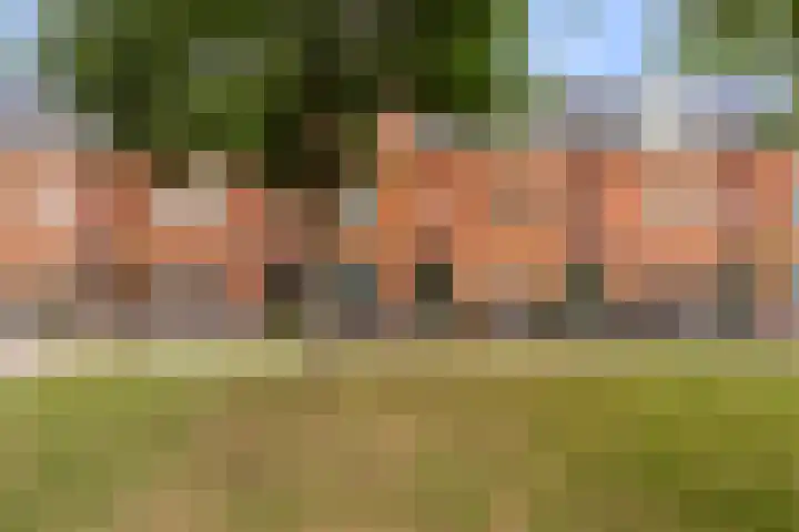 Lichtboei 44 Maassluis thumbnail 6