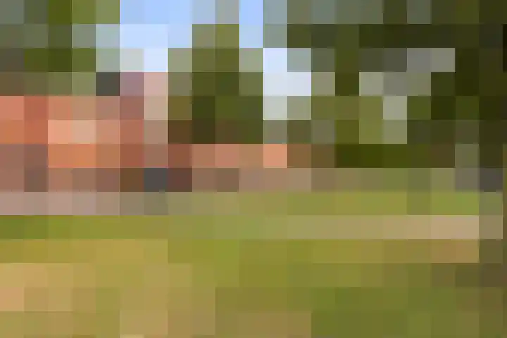 Lichtboei 44 Maassluis thumbnail 8