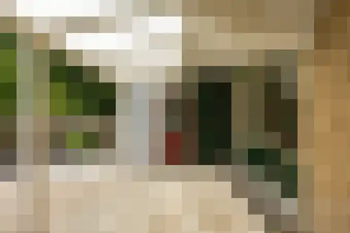 Lichtboei 87 Groningen thumbnail 34