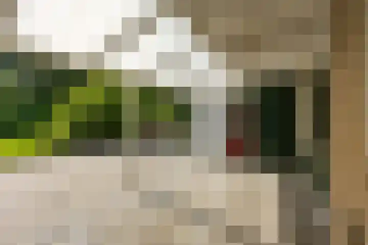 Lichtboei 87 Groningen thumbnail 35