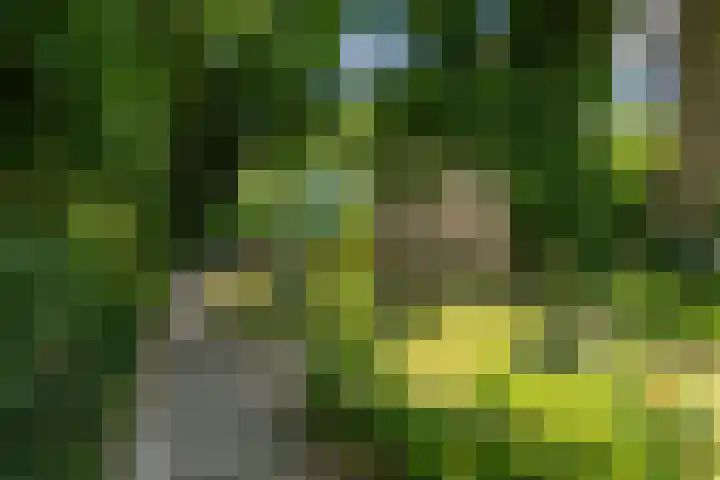Lichtboei 87 Groningen thumbnail 41