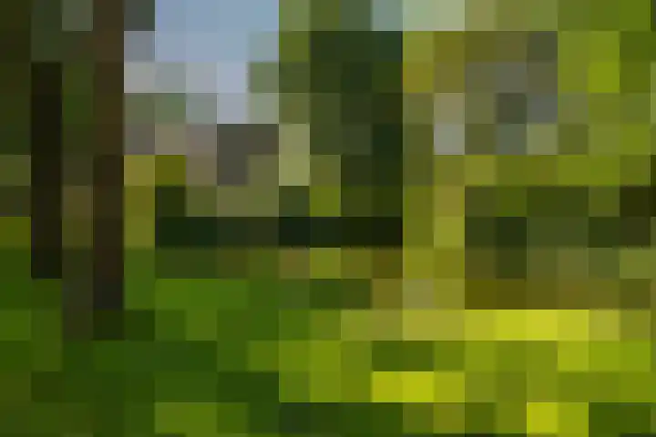 Lichtboei 87 Groningen thumbnail 42
